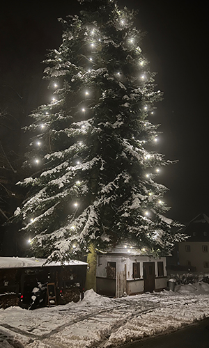 Weihnachtsbaumbeleuchtung in Betrieb
